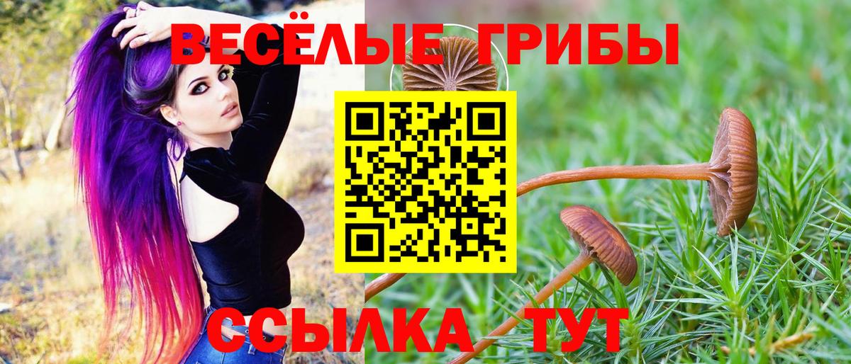 Псилоцибиновые грибы GOLDEN TEACHER Амурск