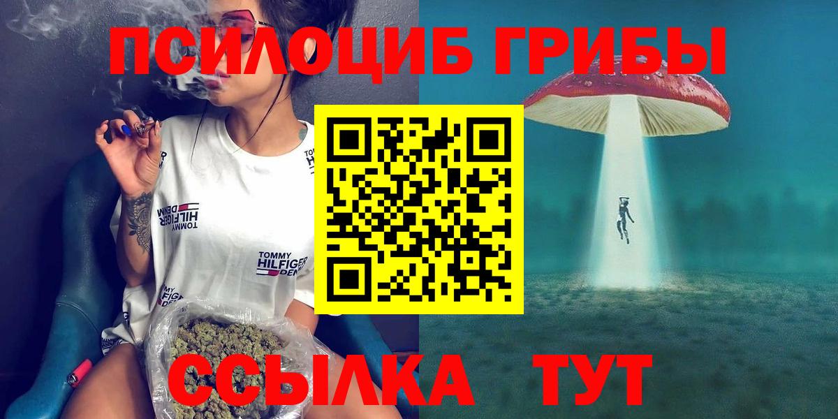 как найти   Вход с VPN  Амурск  Галлюциногенные грибы Magic Shrooms 